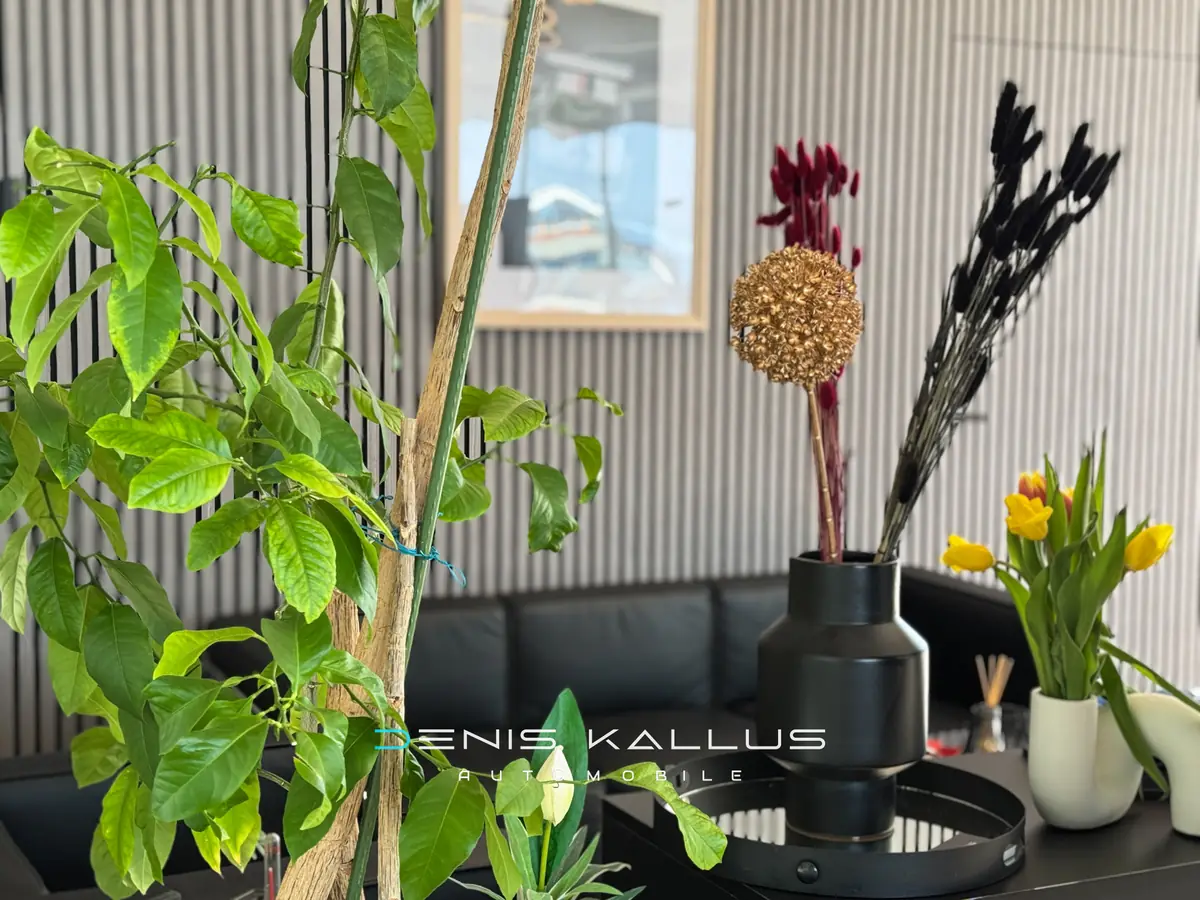 Kundenlounge mit Pflanzen und Blumen bei Denis Kallus Automobile